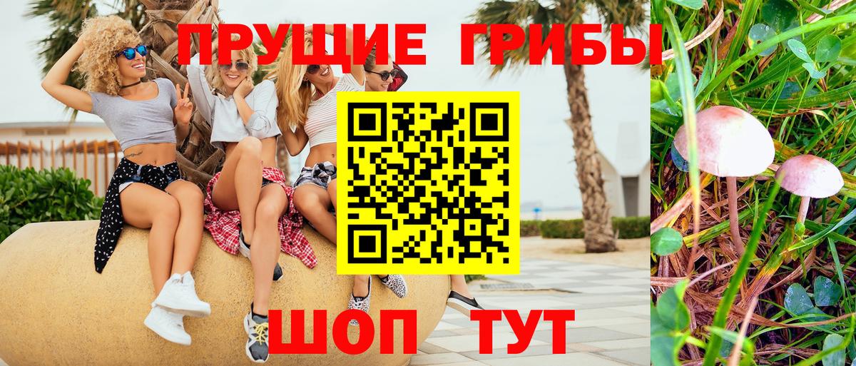 Галлюциногенные грибы GOLDEN TEACHER Урай