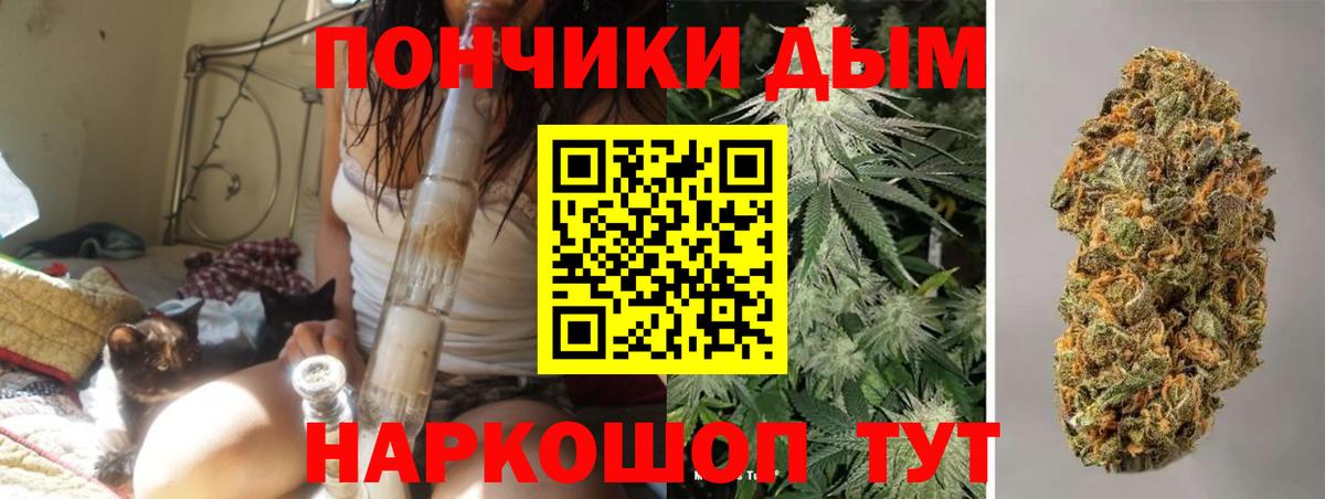 Бошки марихуана семена Урай